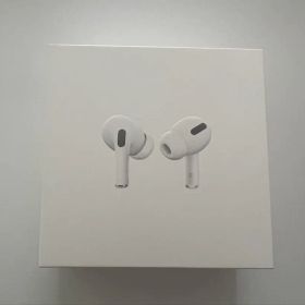 【箱/説明書付き】Apple AirPods Pro 第1世代 ※ジャンク品※