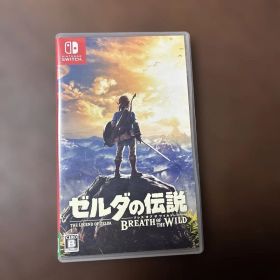 D*Z様 ゼルダの伝説 ブレス オブ ザ ワイルド