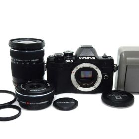 ★極上品★ OLYMPUS OM-D E-M10 Mark III ダブルズーム