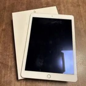iPad Air 2 WiFi 64GB ゴールド 【USB電源アダプタ付き】