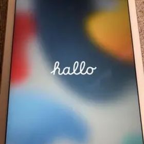 Apple iPadair2 16GBシルバー 本体