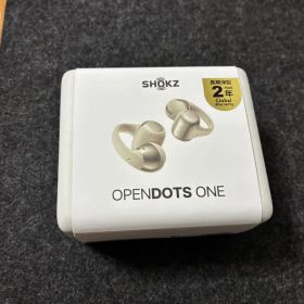 Shokz OpenDots ONE グレー SKZ-EP-000053
