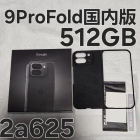 Google Pixel 9 Pro Fold 512GB 国内版