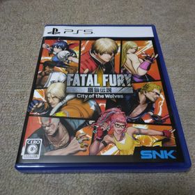 エスエヌケイ(SNK)の餓狼伝説 City of the Wolves SPECIAL EDITION(家庭用ゲームソフト)