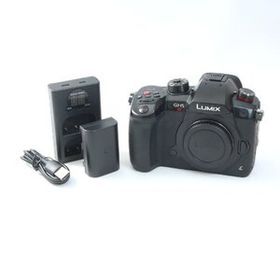 パナソニック Panasonic LUMIX DC-GH5S ミラーレス一眼カメラ 【シャッター数1680回】