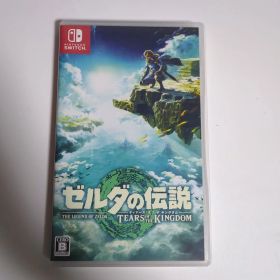 ゼルダの伝説 ティアーズ オブ ザ キングダム