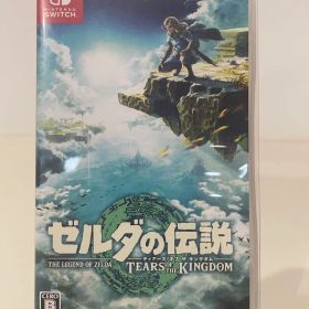 ゼルダの伝説 ティアーズ オブ ザ キングダム