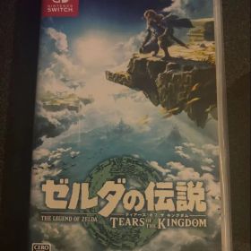 ゼルダの伝説 ティアーズ オブ ザ キングダム