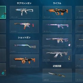 取返しなし日本垢 チャンピオン2024セット クロナミヴァンダル ミストブルームファントムなど | VALORANT(ヴァロラント)のアカウントデータ、RMTの販売・買取一覧