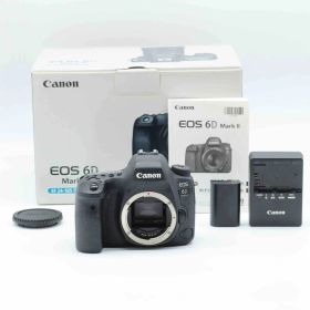 超美品★ Canon EOS 6D Mark II ボディ #728