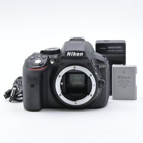 ニコン(Nikon)のNikon D5300 ボディ(デジタル一眼)
