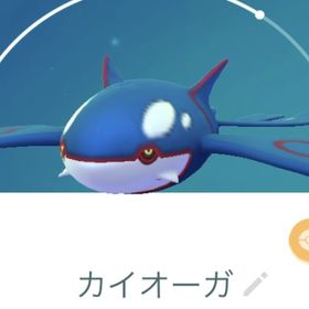 Kさま専用 | ポケモンGOのアカウントデータ、RMTの販売・買取一覧