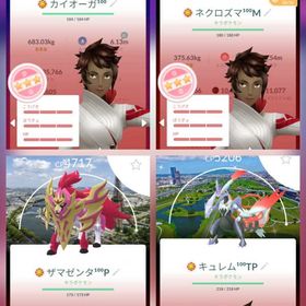 激レア✨神垢TL78！色伝個体100:45体！星砂8億！ | ポケモンGOのアカウントデータ、RMTの販売・買取一覧