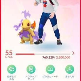 引退アカウント | ポケモンGOのアカウントデータ、RMTの販売・買取一覧