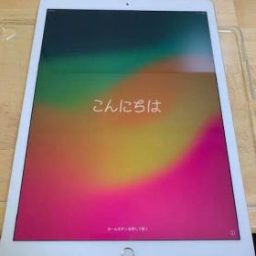 Apple iPad Pro 第2世代 Cellular 64GB ゴールド
