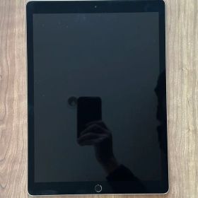 Apple iPad Pro 12.9インチ Gen2 本体 256GB