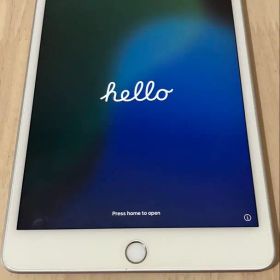 【美品】iPad mini(第5世代) 64GB Wi-Fiモデル