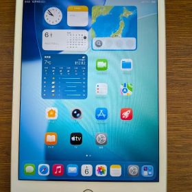 iPad mini 第5世代 Wi-Fi+Cellular 256GB
