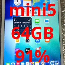 ❗️限定品❗️iPad mini5 第5世代 64GB バッテリーの最大容量91%