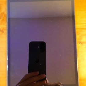 iPad mini 第5世代 wifi スペースグレイ 256gb