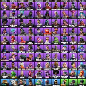 113 スキン | レネゲードレイダー