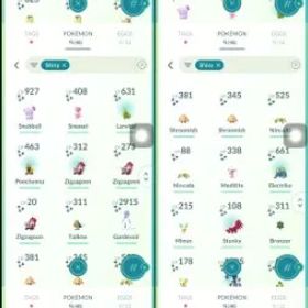 #2272 LV 60 ノーチーム(48 色違い) PTC ログイン 3.1m 星の砂