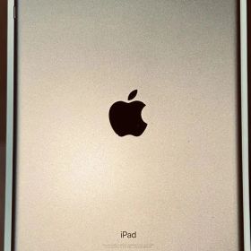 Apple iPad ゴールド本体 （値引きしました）