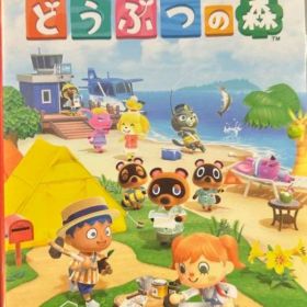 あつまれ どうぶつの森 Nintendo Switch
