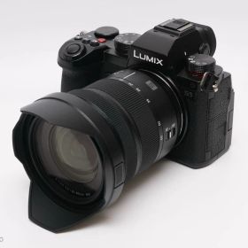 【超美品】Panasonic LUMIX S5II 標準ズームレンズキット