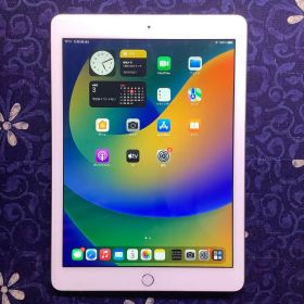 Apple iPad 第5世代 Wi-Fi専用モデル 32GB バッテリー付き