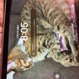 iPad 第5世代 セルラー バッテリー新品 修理途中