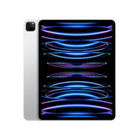 Cランク iPad Pro 12.9インチ 第6世代 1TB シルバー SIMフリー