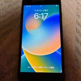 【美品】Apple iPhone SE 第2世代 本体SIMフリー 64GB