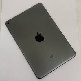 03w22638 Apple iPad mini （第5世代） スペースグレイ Wi-Fi 64GB [MUQW2J/A] 中古