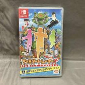 Nintendo Switch ファミリートレーナー (G3-26)