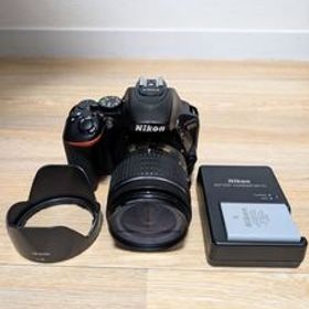 【ショット数少ない美品】NIKON D5600＆AF-P DX 18-55mm 3.5-5.6G VR ズームレンズキット ショット数12966回 レンズ小訳アリ