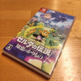 美品 Nintendo Switch ゼルダの伝説 知恵のかりもの