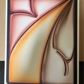 iPad Air M2 13インチ スターライト mv239gj/a