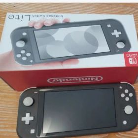 Nintendo Switch Light グレー ジャンク