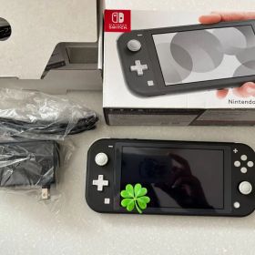 ニンテンドー Swich Lite グレー 付属品