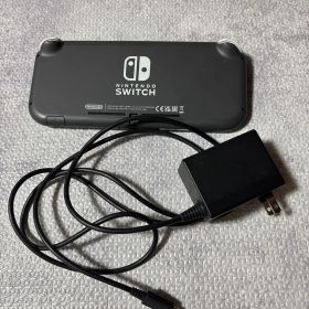 Nintendo Switch ライト本体 ACアダプター付き