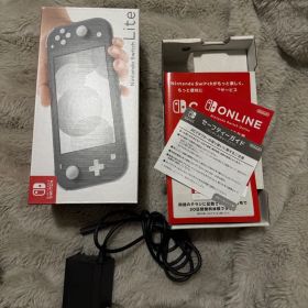 Nintendo Switch Lite スイッチライト グレー