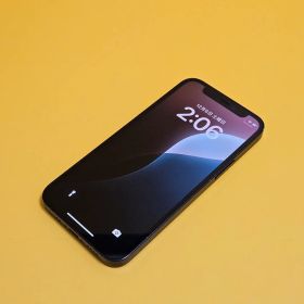 iPhone 12 mini 64GB｜24時間以内発送!#222