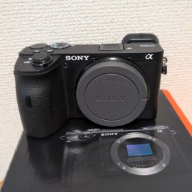 SONY α6600 ミラーレス一眼