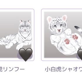 幽明キョンシーズ 撮影アイテム2点セット | ピュアニスタのアイテム、RMTの販売・買取一覧