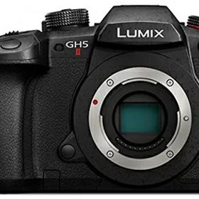 【中古】 パナソニック(Panasonic) ミラーレス一眼カメラ ルミックス GH5M2 ボディ ブラック DC-GH5M2
