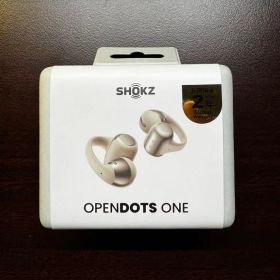 【新品未開封】SHOKZ OPENDOTS ONE グレー 公式サイト品