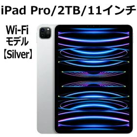 Apple iPad Pro 第4世代 2TB 本体 新品 11インチ シルバー M2 Wi-Fi MNXN3J/A アップル Liquid Retinaディスプレイ LiDAR USB-C 超広角カメラ 第四世代 11型