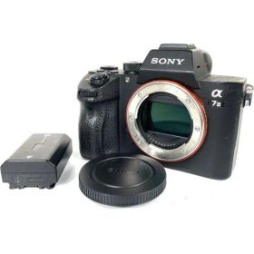 ショット数49804枚■極上品■ SONY α7III ILCE-7M3