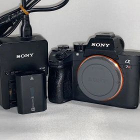 【動作◎】SONY α7RIII a7r3 ilce-7r3 ボディ 本体
